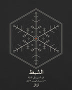 صقيع الشبط — تيشيرت بلون فحم: تفاصيل الطباعة على الظهر عن قرب
